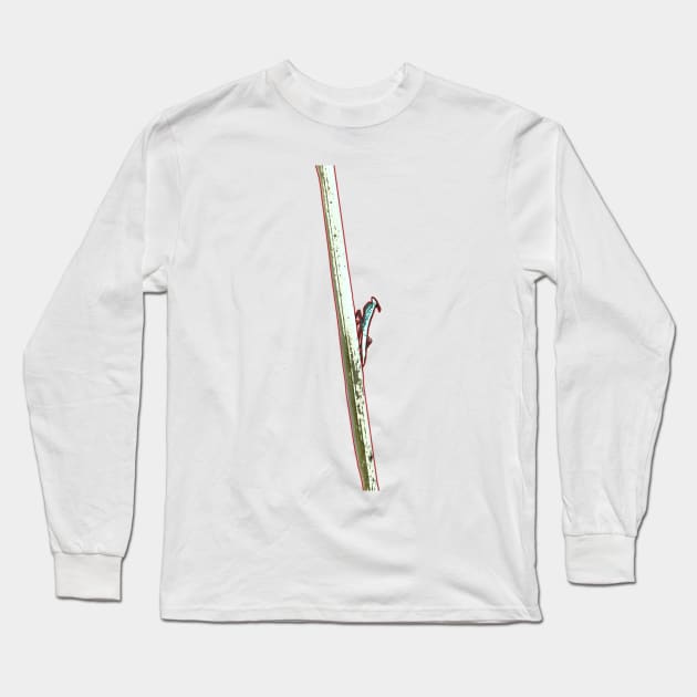 Praying mantis balancing on a stick - nature photography Long Sleeve T-Shirt by DopamineDumpster